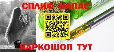 дмт Новокубанск