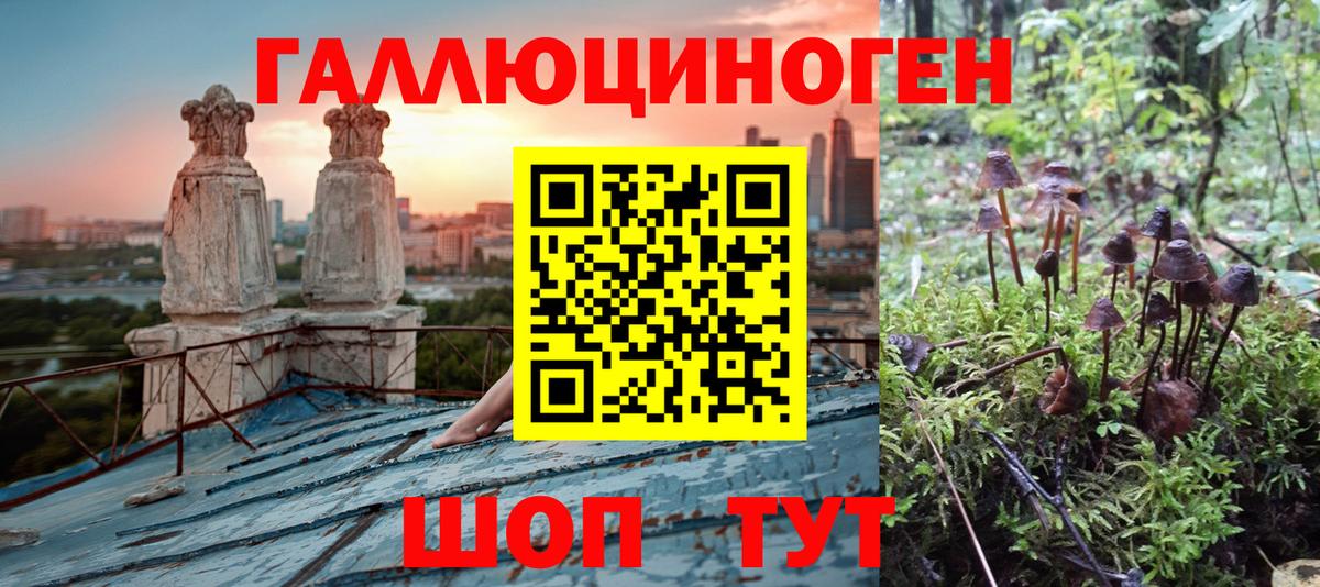 Псилоцибиновые грибы мицелий Сердобск